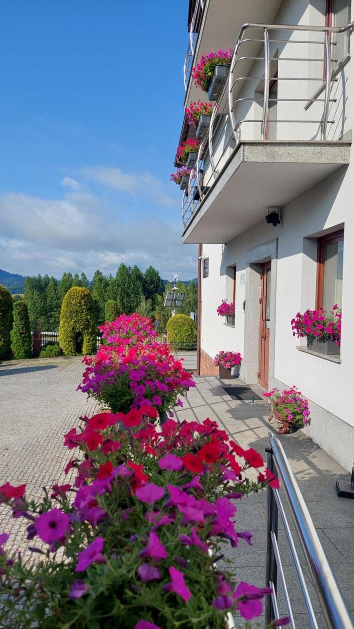 Gosciniec Pieninski Kluszkowce Exteriér fotografie